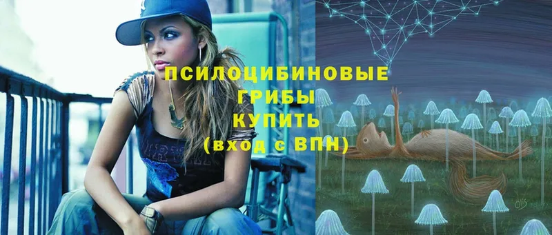 Псилоцибиновые грибы Cubensis  Змеиногорск 